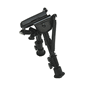 Rock Mount